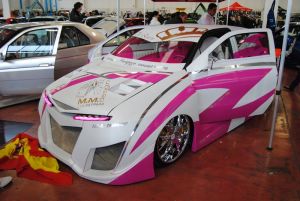 DSC_0100.JPG